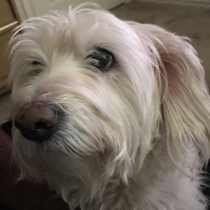 Meet your Posher, Christopher